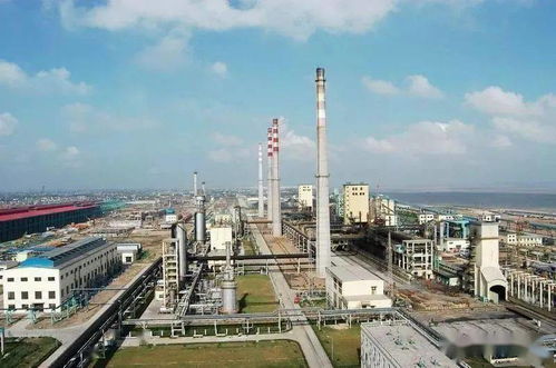 在困境中崛起 中國焦化四十年巨變