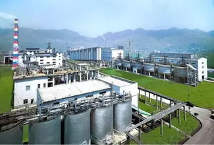 重慶機械設備巨頭 引領行業發展的財富與機遇